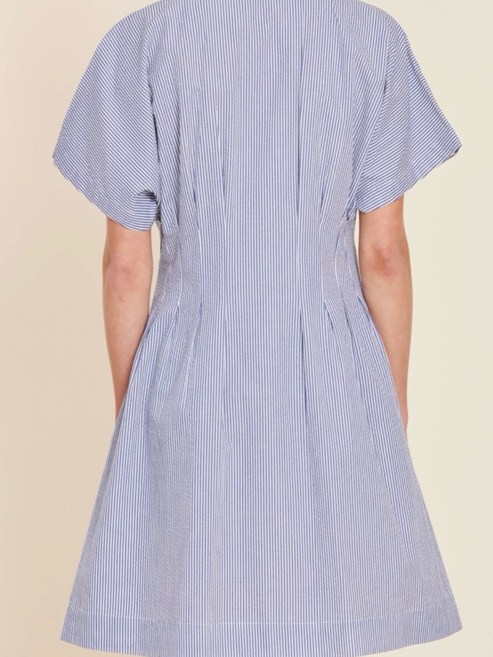 New Blue and White Pinstripe Button-Front Shirt Dress - Picture 2 of 5